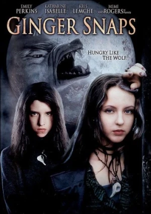 DVD Cover (First Look Home Entertainment)