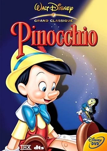 DVD Cover (France)