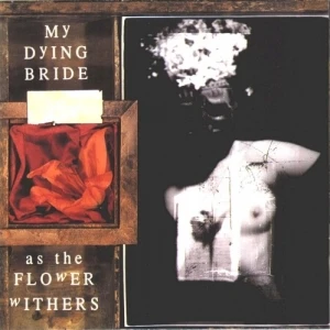 As the Flower Withers