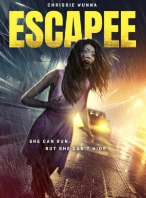 Theatrical Poster