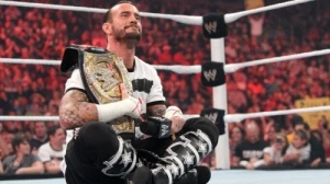 Survivor Series 2011 Fallout