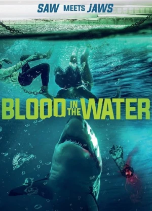 DVD Cover (4Digital Media)