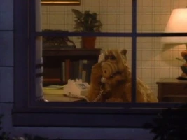 Lookin' Through the Windows
