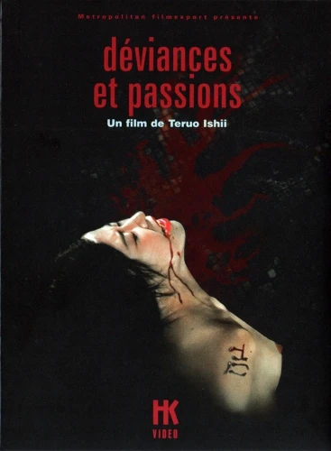 DVD Cover (France)
