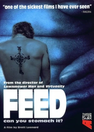 DVD Cover (Danger After Dark)