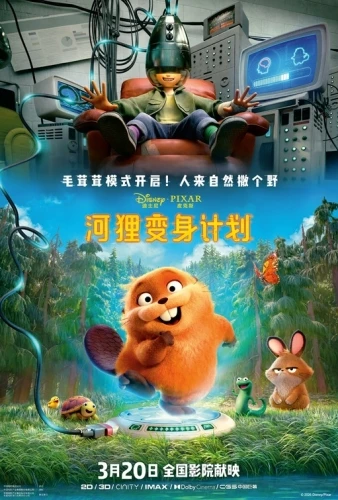 Theatrical Poster (China)