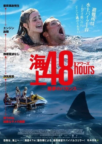 Theatrical Poster (Japan)