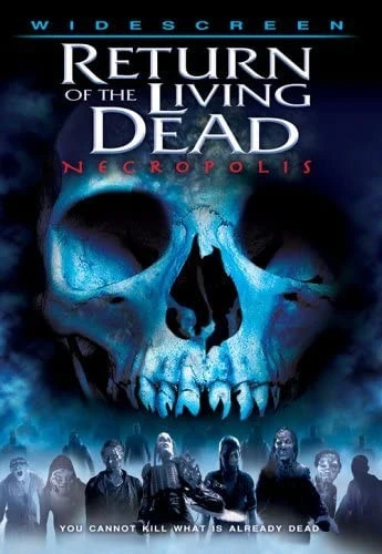DVD Cover (France)