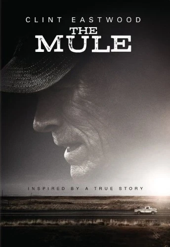 DVD Cover (Warner Brother)