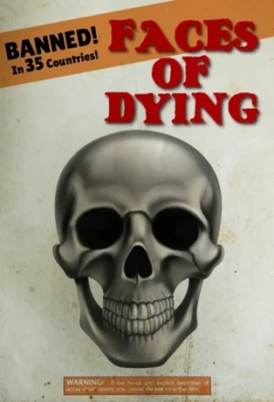 Theatrical Poster