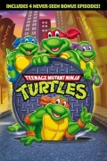 Teenage Mutant Ninja Turtles: Season 1