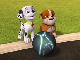 Pups Save a Space Rock/Pups Save a Good Mayor