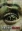 Never Blink