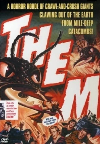 DVD Cover (Warner Brother)