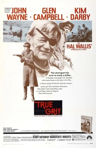 Theatrical Poster
