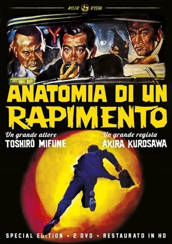 DVD Cover (France)