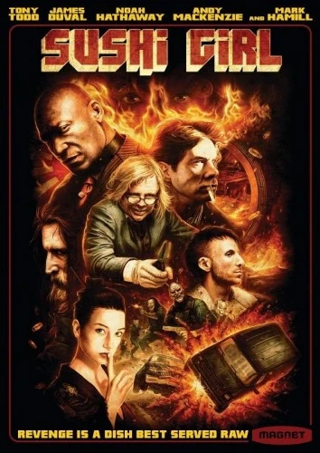 DVD Cover (Magnet Releasing)