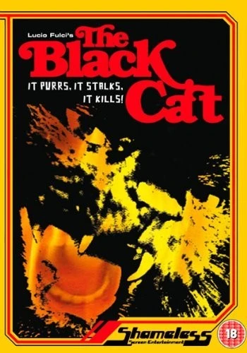 DVD Cover (UK)