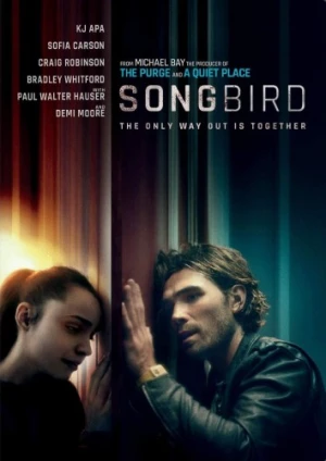 DVD Cover (Universal)