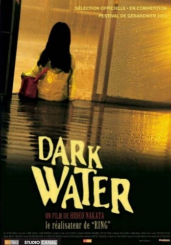 DVD Cover (France)