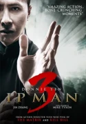 Ip Man 3