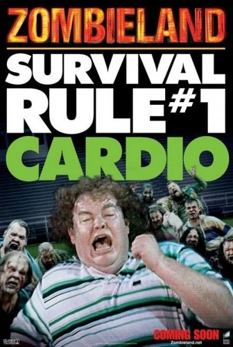 Theatrical Poster (USA)
