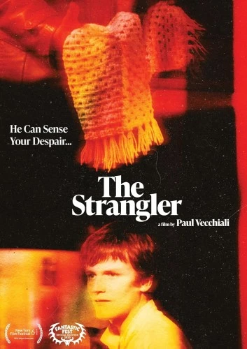 DVD Cover (Altered Innocence)