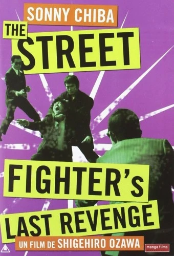 DVD Cover (France)