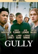 Gully