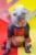 Peggy the Dog
