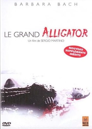 DVD Cover (France)