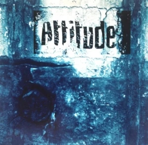 Attitude