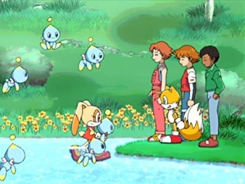 Summer Vacation Chao Observation Diary