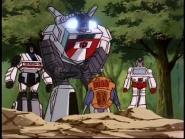 The Immobilizer
