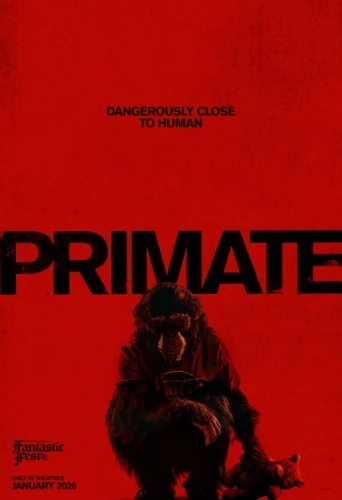 Theatrical Poster