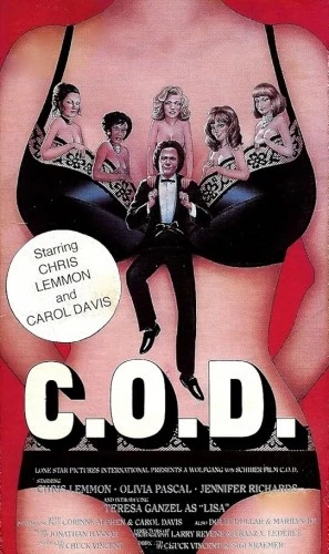 VHS Cover (Vestron)