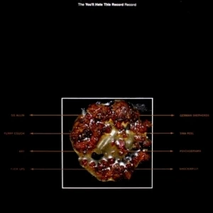 The You'll Hate This Record Record