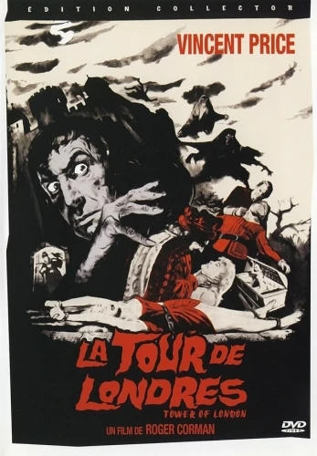 DVD Cover (France)