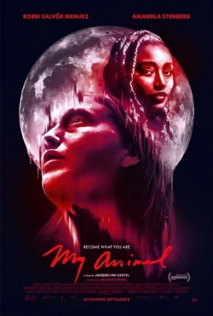 Theatrical Poster