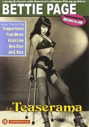 DVD Cover (Netherlands)