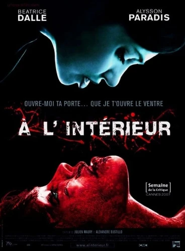 DVD Cover (France)