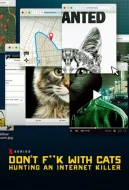 Don't F**k With Cats: Hunting An Internet Killer