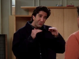 The One Where Ross Moves In