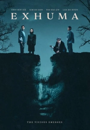 DVD Cover (Well Go USA)