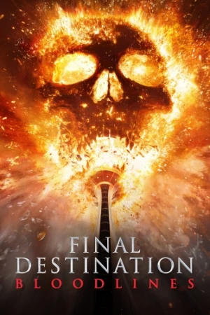 DVD Cover (Warner Brother)