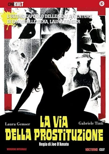 DVD Cover (Italy)
