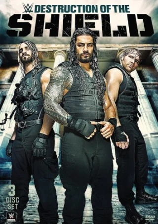 Destruction Of The Shield