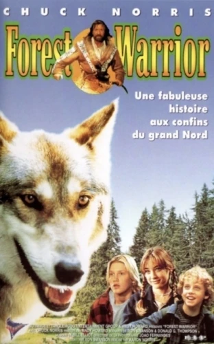 VHS Cover (France)