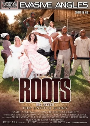 DVD Cover (Evasive Angles)