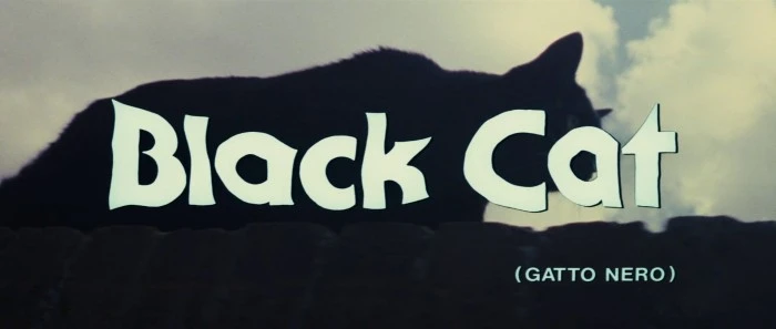 Title Card